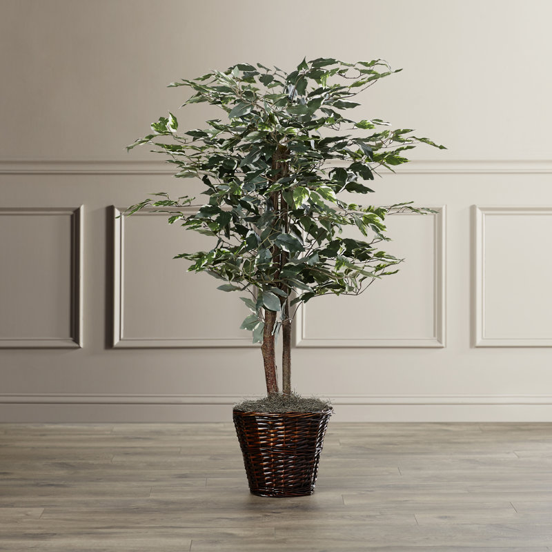 Série de ficus artificiels panachés, 48 po x 30 po