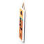 Hutcheson Nautical & Beach Wall Decor-1830934845