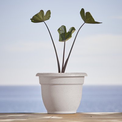 Traditional Self-Watering Plastic Indoor/Outdoor Pot Planter