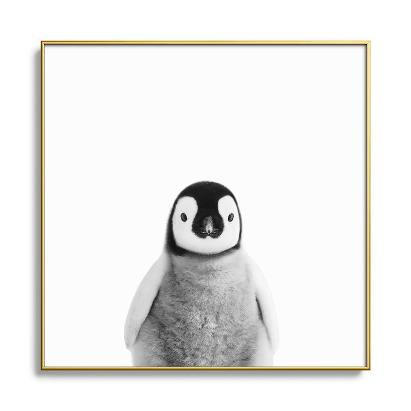 Bébé manchot noir et blanc - photographie avec cadre photo sur verre, H 20 po x l 20 po x P 1 po, Or