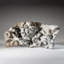Genuine Natural Fossilized Ammonite Cluster (2 Lbs)