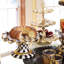 Courtly Check® Ceramic Fluted Cake Stand