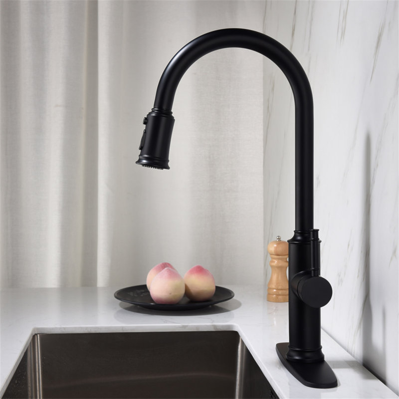 Robinet de cuisine avec douchette extractible