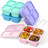 Bento Lunch Box for (4 Pack) - 4-Compartment Salad Container for Lunch, Reusable