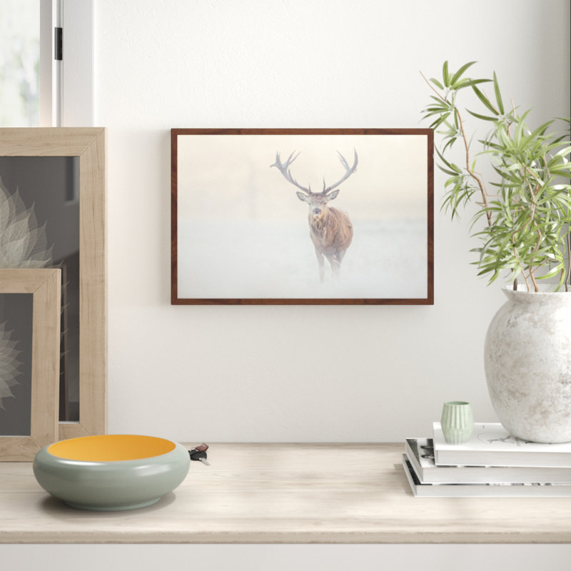 Parvez Taj - Single Picture Frame Print, 41cm H x 61cm W x 3.81cm D