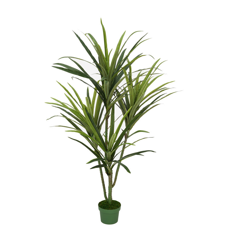 Dracaena artificiel dans un pot de fleurs, H 60 po x l 36 po x P 36 po