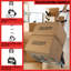 Chariot-chariot pliable avec roulettes Stalwart - Chariot mobile pliable léger et mobile