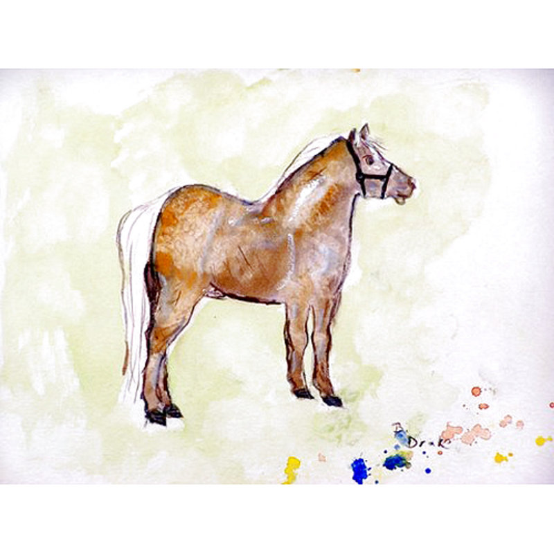 Serviette de plage shetland pony Auriane
