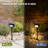 2-Piece Solar LED Outdoor Spotlight Set with Ground Stake & Wall Mount, Black