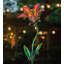 Piquet de jardin Narelle-46833395