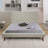Nico Upholstered Platform Bed-1722397472-1722386175