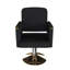 Fauteuil de salon pivotant à 360 ° en similicuir