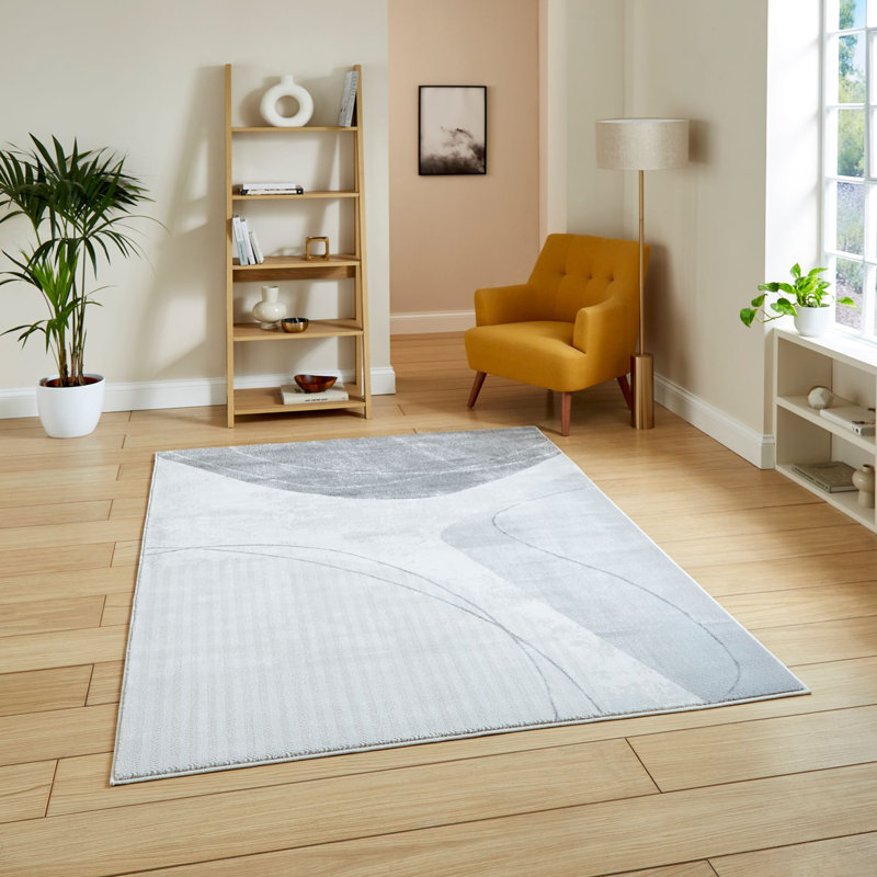 Apollo area rug Machine Woven Rectangle, Rectangle 120 x 170cm