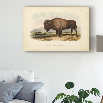 « american bison debout », reproduction de peinture à l’huile sur toile tendue