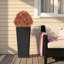 Arbre en pot 24 po-52325371