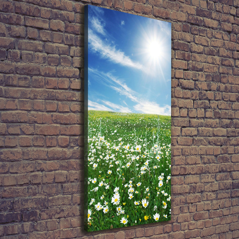 Meadow - Wrapped Canvas Print