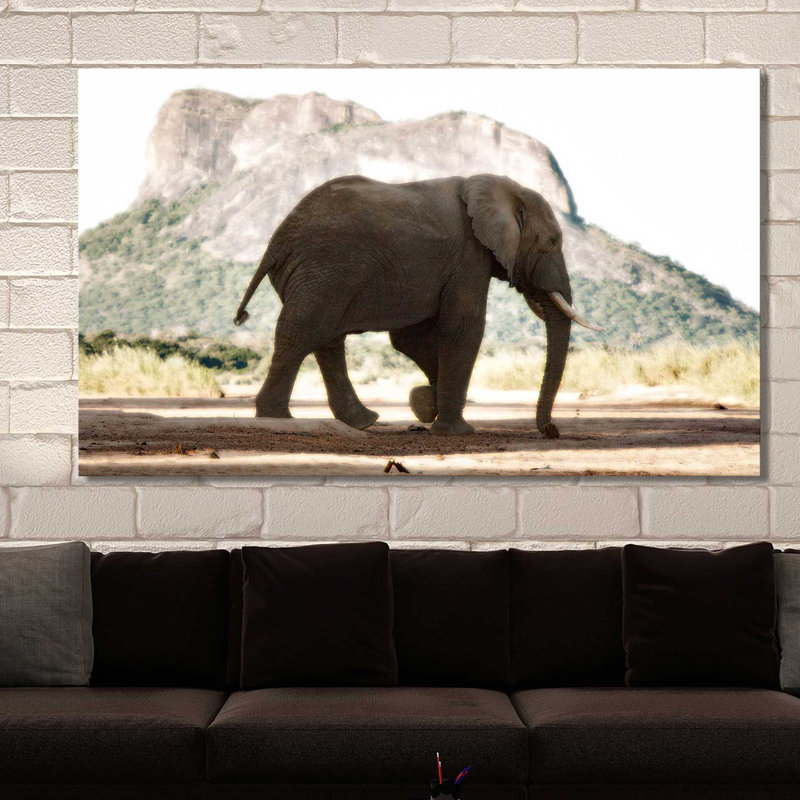 «Lone Ele», reproduction de peinture à l'aquarelle, H 36 po x l 60 po x P 1,5 po, Toile tendue
