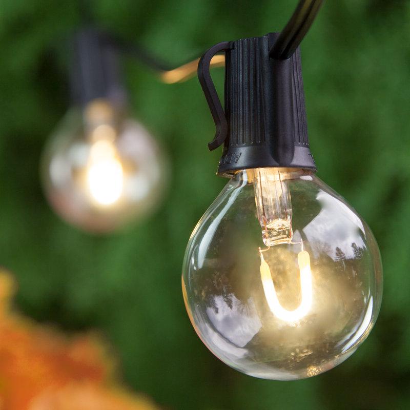 Alexandrea Outdoor 10 - Bulb 10'' Plug-in Globe String Light, Clear, Black