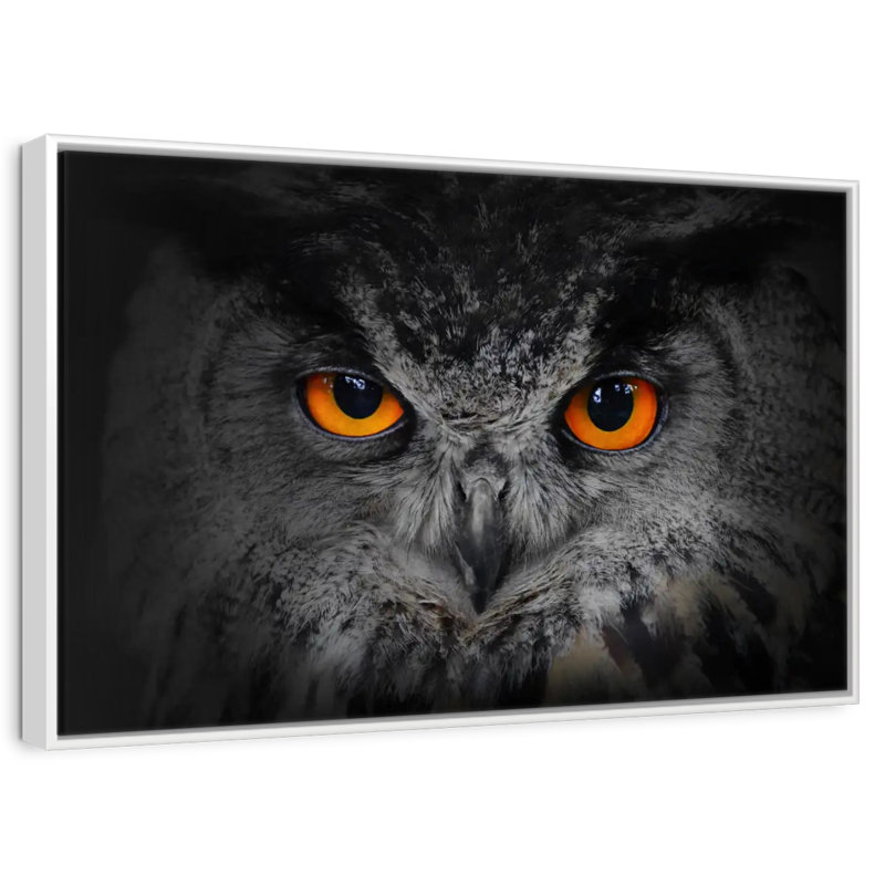 Hibou gris envoûtant, Cadre flottant blanc, 25 po x 17 po