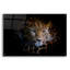 Art mural en verre acrylique «Sleepy Leopard» par Epic Portfolio-1464004850