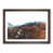 Walnut Framed