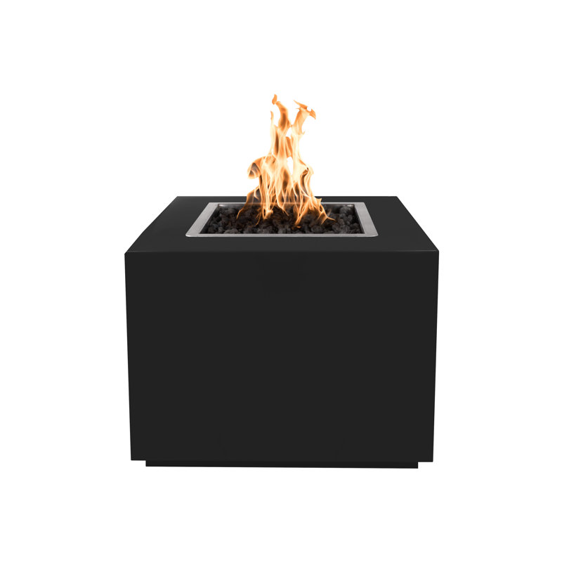 Foyer en acier inoxydable Forma, Noir, H 24 po x l 42 po x P 42 po, Propane