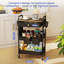 73cm H x 41.5cm W Storage Rack with Wheels