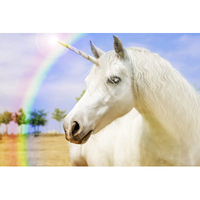 Unicorn par Madkruben - photographie sur toile tendue