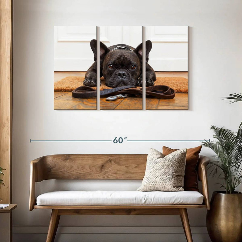 Bouledogue français en attente, H 28 po x l 45 po