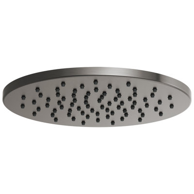 Essential™ Rain Adjustable Shower Head