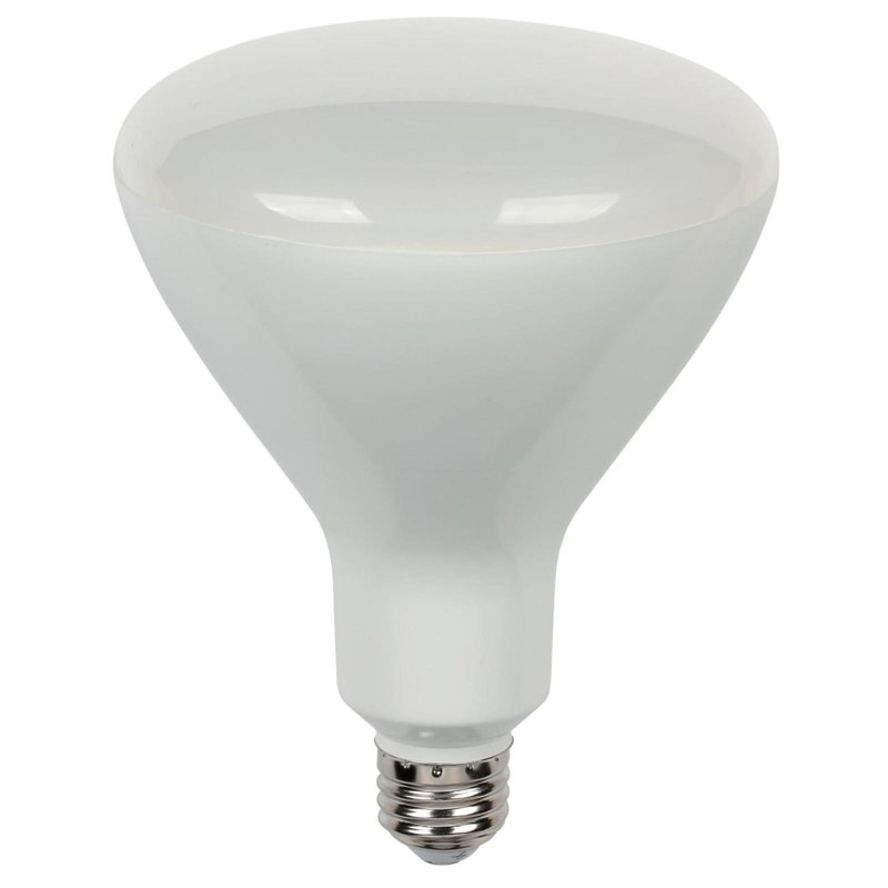 16.5W E26/Medium LED Light Bulb