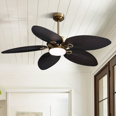 52"" Palm Valley Tropical 5 Blade Dimmable Ceiling Fan With LED Lights and Remote Control -  Bay Isle Homeâ¢, DC49B01F79CF4E6A8E3AE3BC643D78C3