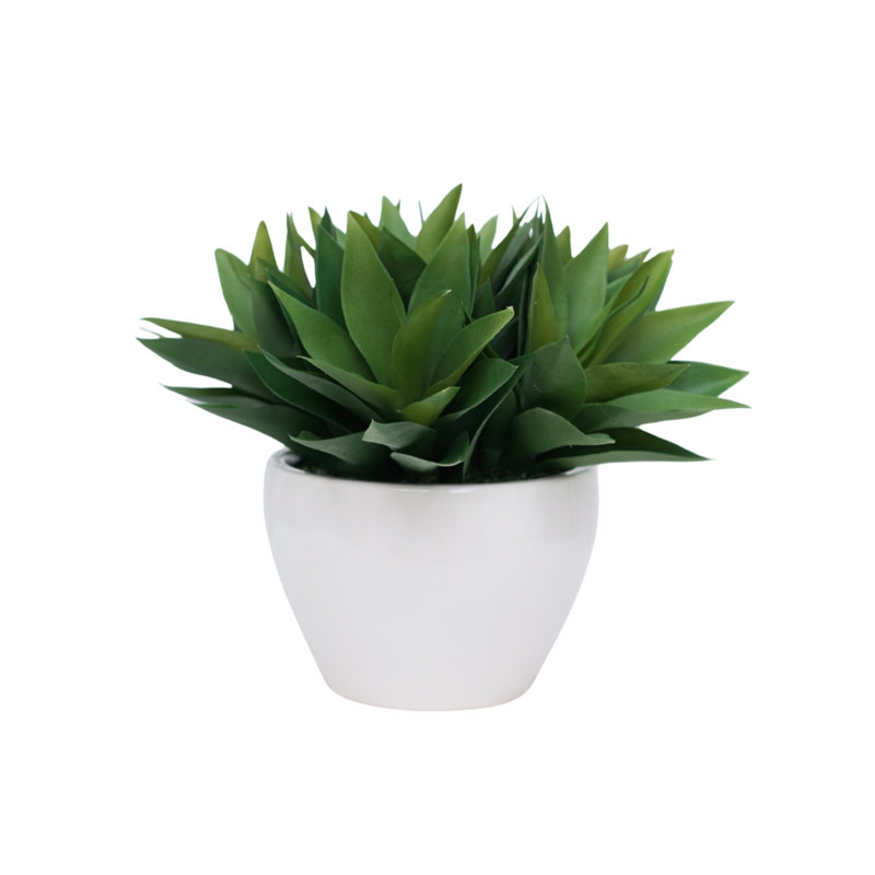 Agave 14 po en céramique blanc brillant, White