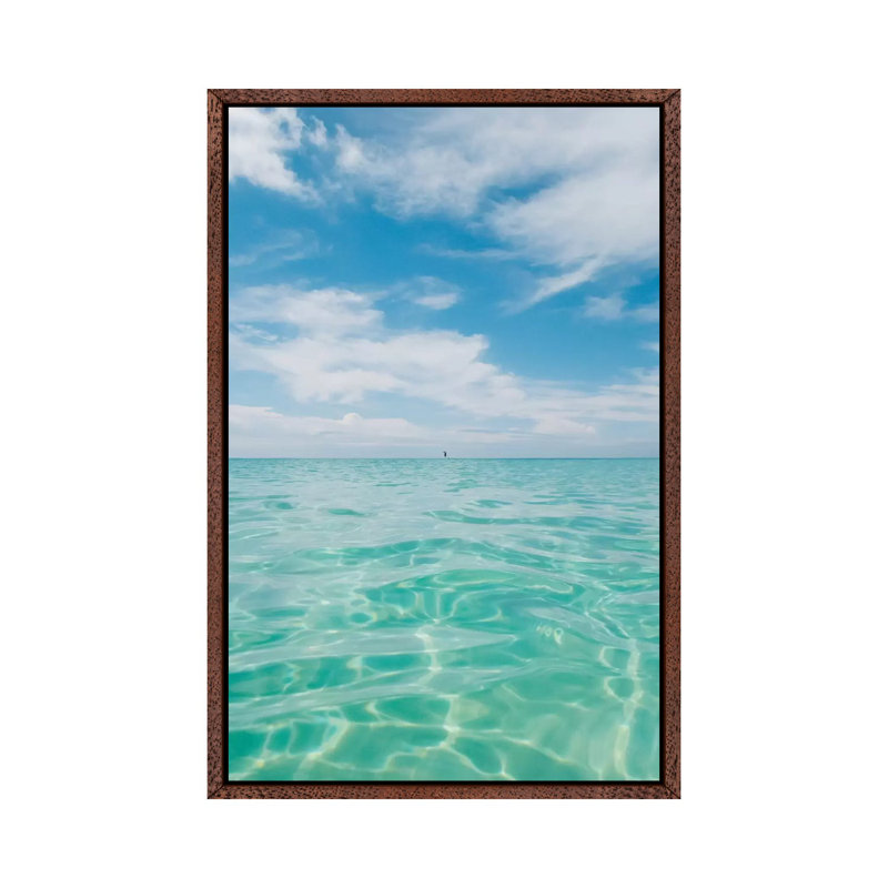 Florida Water V by Bethany Young - Print on Canvas, 66.04cm H x 45.72cm W x 3.81cm D, Classic Brown Wood Framed