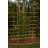 Wood Trellis-1383019950