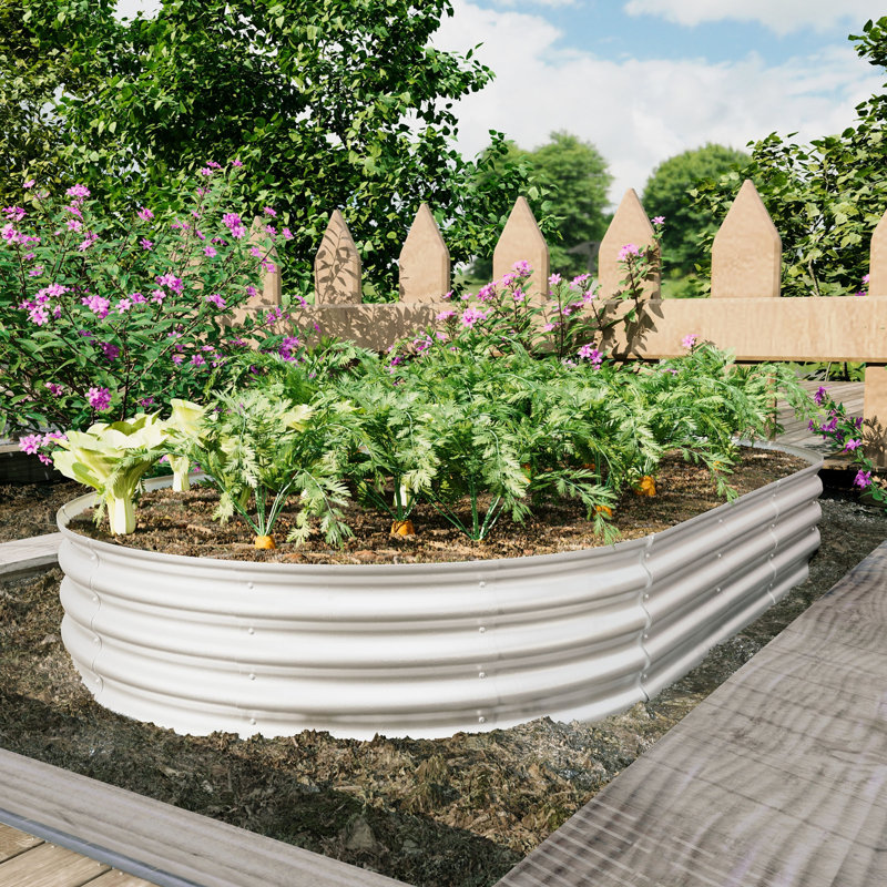 Ensemble de lit de jardin surélevé, H 12 po x l 96 po x P 48 po