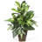Mixed Greens Silk Plant