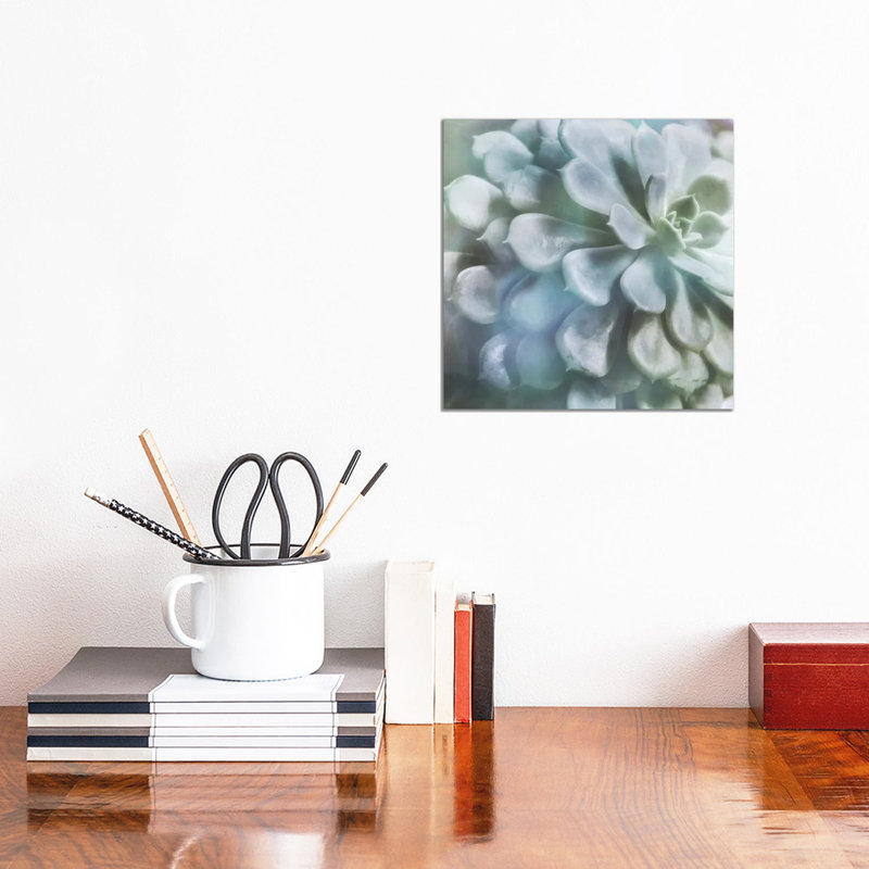 Soft Succulent I by Irene Weisz - Wrapped Canvas Painting, 30.48 cm H x 30.48 cm W