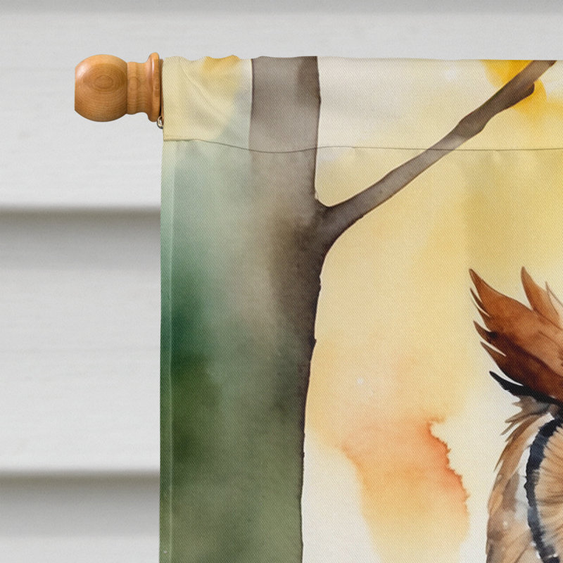 House Flag, Eastern Screech Owl