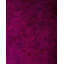 Vernelda One-of-a-Kind 6' 2" X 9' 2" Hand Knotted Area Rug