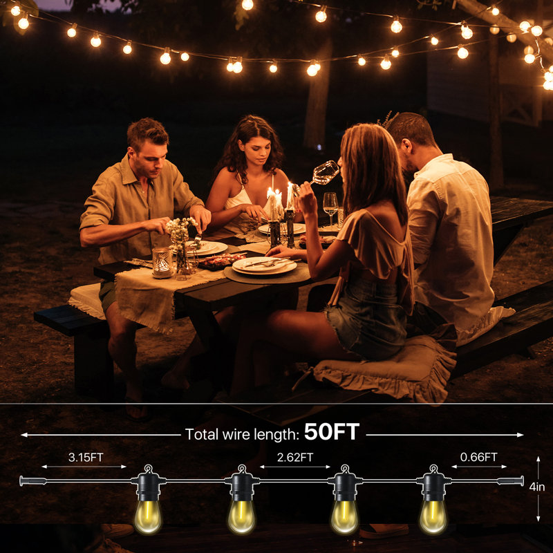 50 Ft. Outdoor 15 Bulb Standard String Light