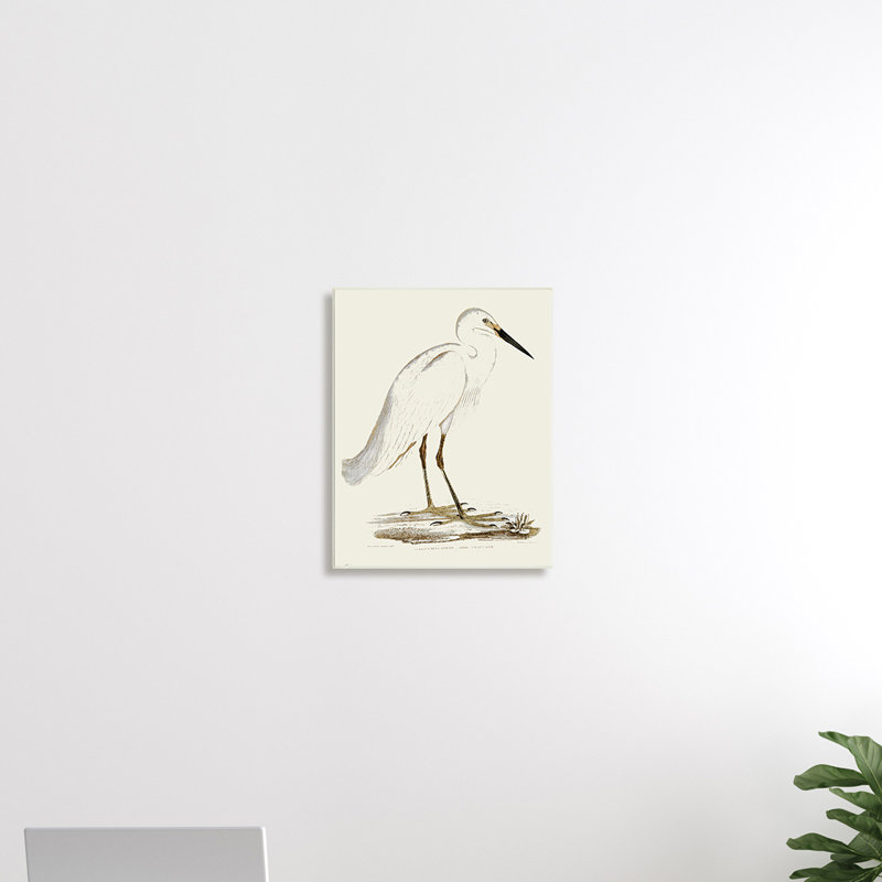 Illustration rétro d'une aigrette dans un marais, H 19 po x l 13 po, Plaque murale