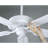 AirPro Builder 52 " Ceiling Fan-139669625-139669623-24539666