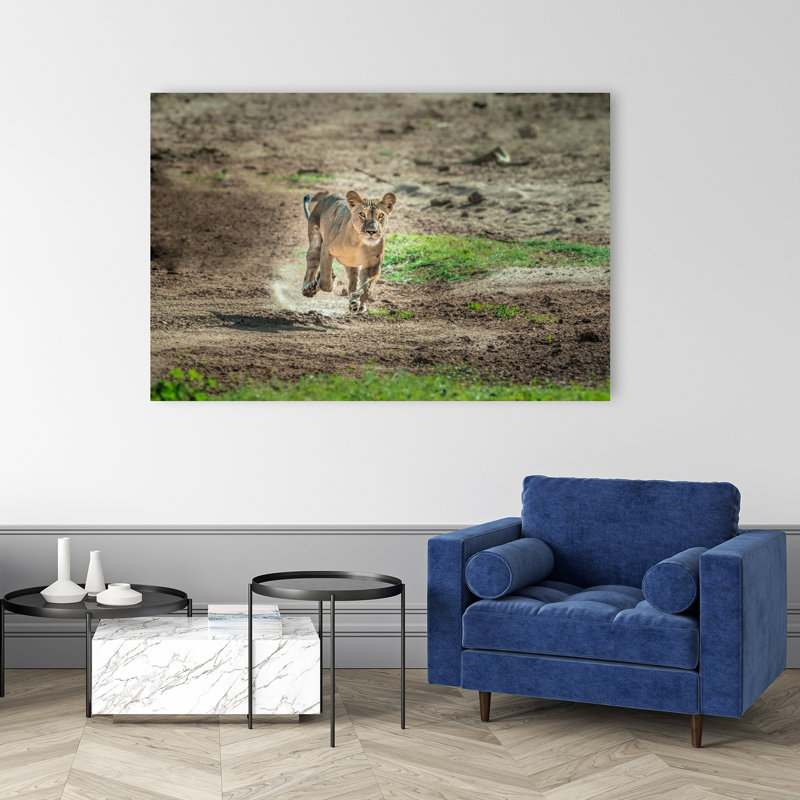 Running Wild Lioness Contemporary Cat Lion Nature Wildlife Wall Art Print by Jeffrey C. Sink - 1 Piece Wrapped Canvas Wall Art