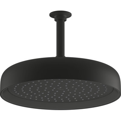 Statement 12" 2.5 GPM Round Rainhead