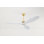 Hexanova Smart Ceiling Fan