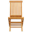 Dorathy Folding Teak Patio Dining Side Chair with Cushion-1685650431