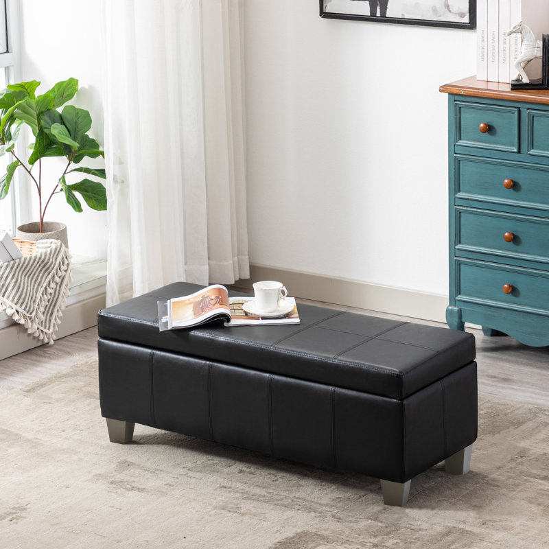 Repose-pieds de rangement rectangulaire avec charnière de sécurité de 41 po Demingo, Noir