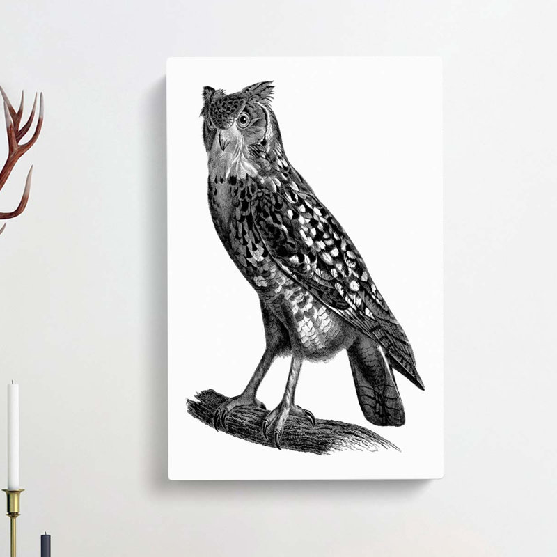 Egyptian Owl Illustration - Wrapped Canvas, 76cm H x 50cm W x 3cm D