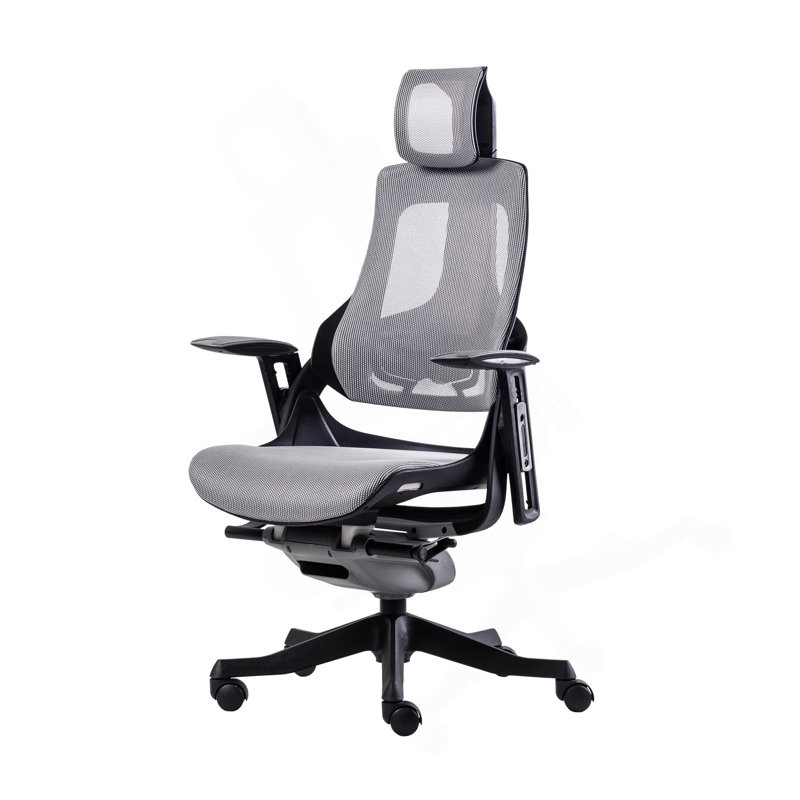Fauteuil de direction ergonomique Techni Mobilei LUX, gris